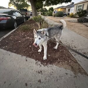 Meet your Posher, Diamondcut